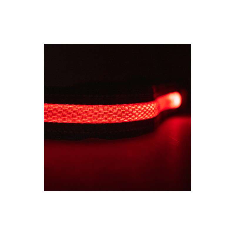 Cinturón LED Coolride