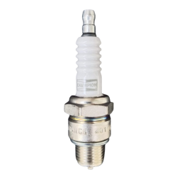 L82C Candela campione a ciclista